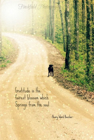 Gratitude nature photography famous quote summer by finchfieldart, $30 ...