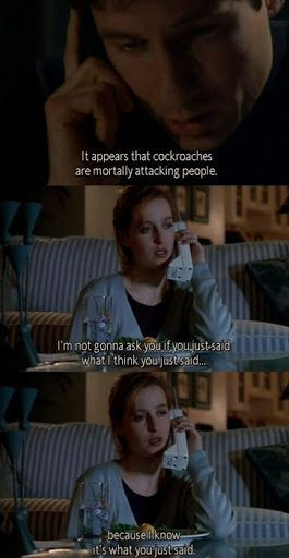 Mulder and Scully Quotes |