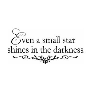 Even A Small Star Shines in the Darkness Vinyl Wall Quote Sign