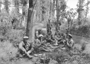 British, American and Australian troops resting in a wood near Corbie ...