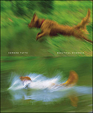 Edward Tufte, Offering 'Beautiful Evidence'