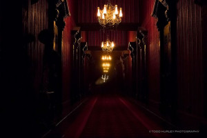 of the Haunted Mansion rideDisney Haunted, Mansions Endless, Haunted ...