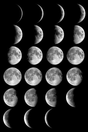 Planning with the Moon’s Cycles