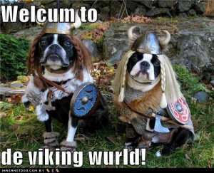 Funny Viking Quotes