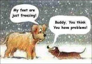 quotes quote winter funny quotes humor winter quotes Laugh, Funny ...