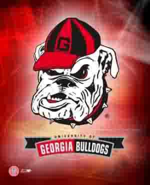 georgia bulldogs Image