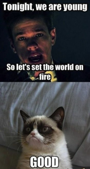 Top 40 Funny Grumpy cat Pictures #Funny #Humor