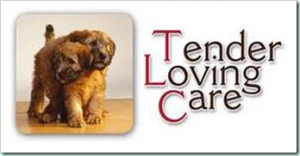 Tender Loving Care 348 x 182 · 108 kB · png, Tender Loving Care