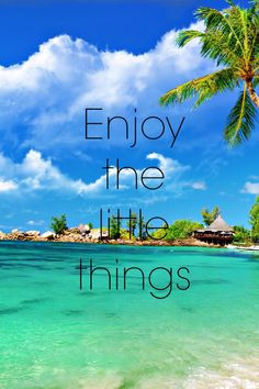 Tropical paradise quote sayings to love by live a little