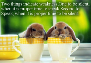 Two things indicate weakness, one to be silent