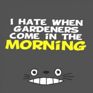 Instagram Picture Quote