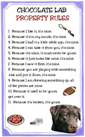 Chocolate Lab Property Rules