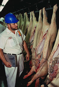 200px-Swine_inspection_USDA.jpg