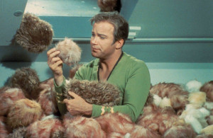 asking about the tribbles ]