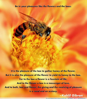 the bees” ~Kahlil Gibran motivational inspirational love life quotes ...