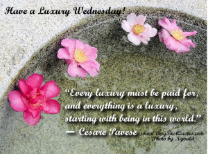 ... Good Morning Wednesday, Wednesday Morning Messages, Wishes, Quotes