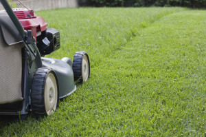 Grass cutting Milton Keynes | Grass cutting Bletchley | Hedge cutting ...