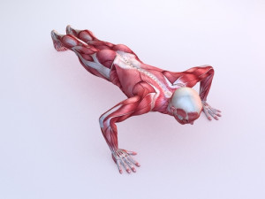 inspirational quotes about you guessed it push ups