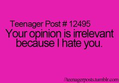 your opinion is irrelevant because i hate you. end of. More