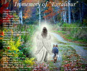 In memory of Excalibur~may he rest in peace. ♥