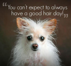 You can't always have a good hair day Picture Quote #1