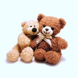 Teddy Day Sms, Quotes, Messages, Scraps, Wishes, Quotations ...