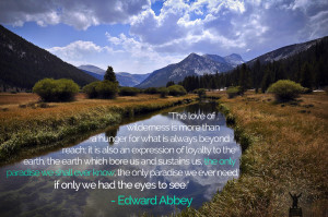 edward abbey quote