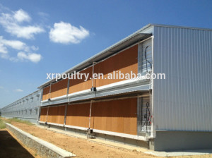 Commercial Chicken House Design