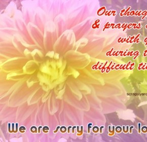sorry for your loss quotes sorry for your loss quotes
