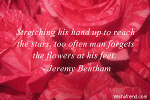 ... -stars-too-often-man-forgets-the-flowers-at-his-feet-flower-quote.jpg