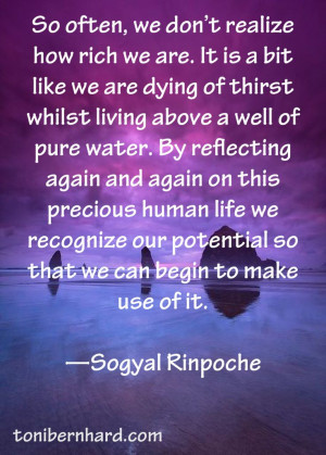 ... precious human life, we can recognize our potential. Sogyal Rinpoche