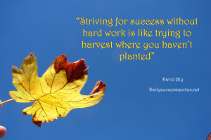 striving for success without hard work is like trying to harvest