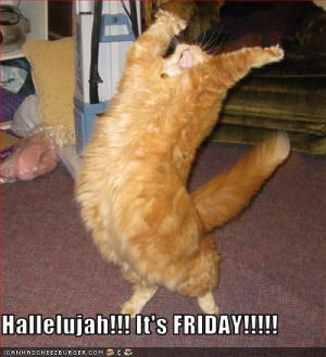 FridayLOLcat