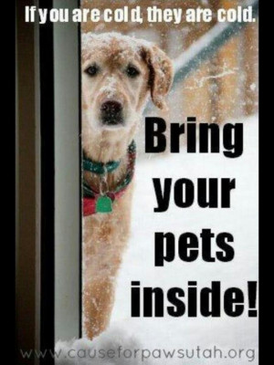 Bring your pets in! Baby its cold outside!