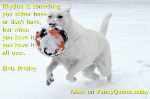 Funny quote about life by Elvis Presley