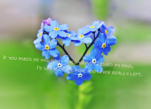 the-picture-of-blue-flower-with-quote-on-it-cute-one-loving-quotes ...