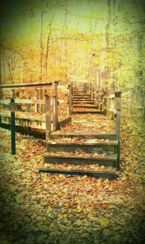 Fall Quotes Inspirational Autumn Sayings Funylool