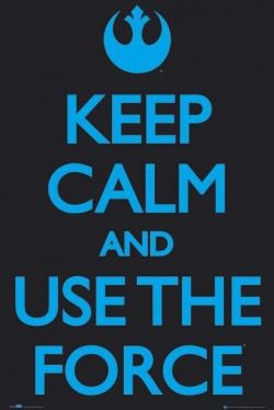 Keep Calm Use The Force Poster