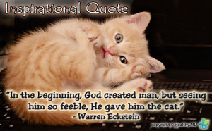 veterinarian quotes