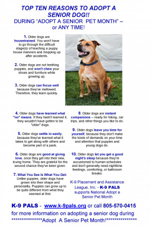 ... Senior! Senior dogs make great pets. Check out this list of reasons
