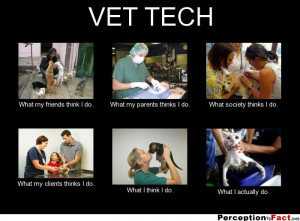 frabz-VET-TECH-What-my-friends-think-I-do-What-my-parents-thinks-I-do ...