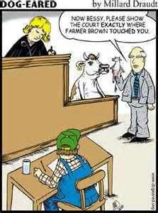 funny courtroom quotes - Bing Images