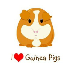 cute guinea pig quotes | Cartoon Guinea Pig Pigs More