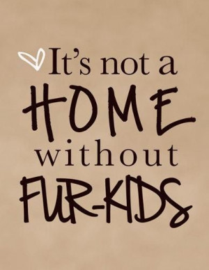 It's not a home without fur-kids! (via #pet girl| http://cute-pet.mai ...