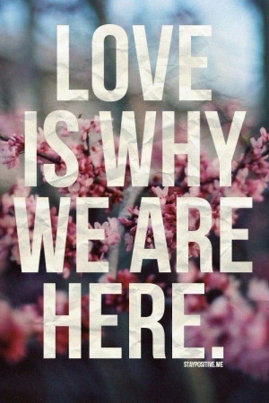 Love is why we are here.
