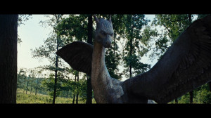 Saphira Dragonfanatic Credited