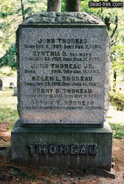 Sit under a tree by Thoreau's grave and imagine what he might write ...