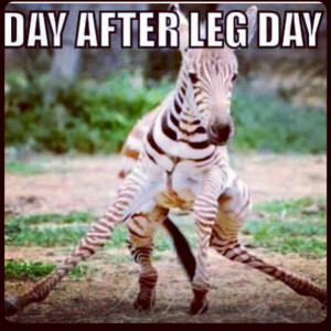 leg day