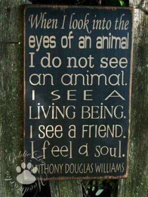 Animals, sign I love