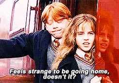 harry potter hermione granger ron weasley